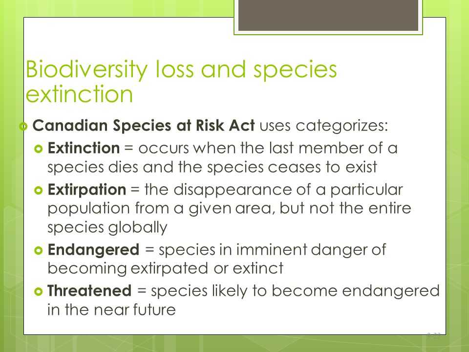 Biodiversity Loss: Facts and Figures